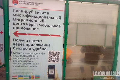 ФМС: на территории России выявлено 10 тыс &quot;резиновых квартир&quot;