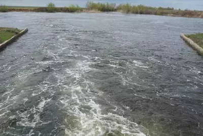 Паводковые воды из России напитали озера на западе Казахстана