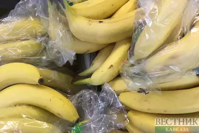 В Казахстане начали выращивать турецкие бананы