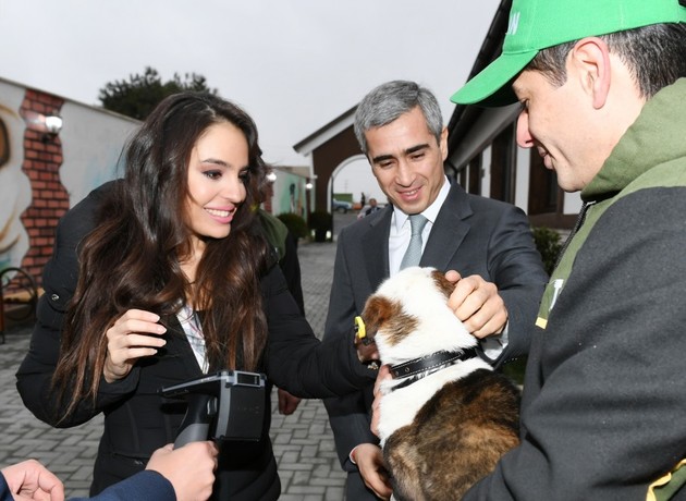 Вице-президент Фонда Гейдара Алиева Лейла Алиева открыла в поселке Балаханы Центр заботы о бездомных собаках "Топлан" 