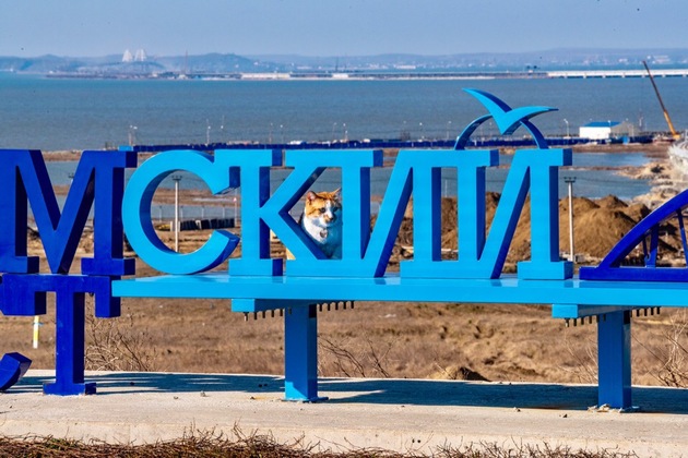 Кот Крымского моста объявил конкурс на идею памятника себе