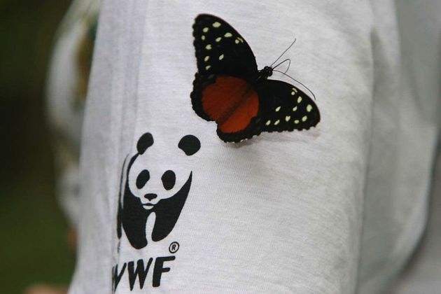 Студенты из Железноводска одержали победу в экоквесте от WWF России