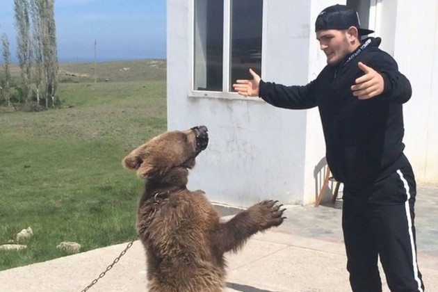 Нурмагомедов вновь вступил в схватку с медведем