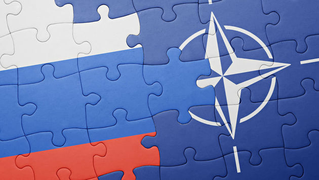Делегация США пошла против НАТО на демонстрации в Крыму