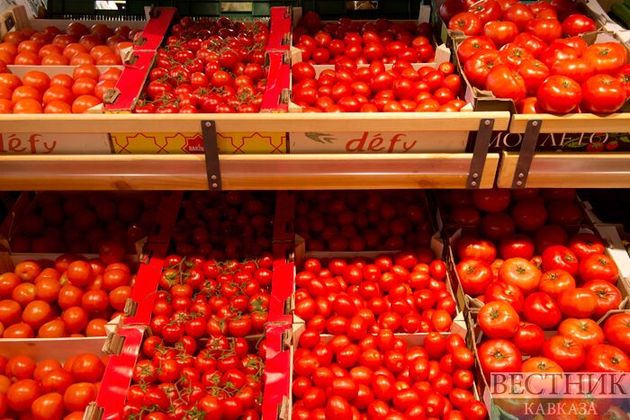 Турецкие томаты с молью не пустили на Кубань