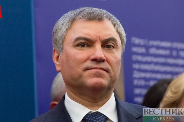 Володин рассказал, кому в Грузии нужен конфликт с РФ 