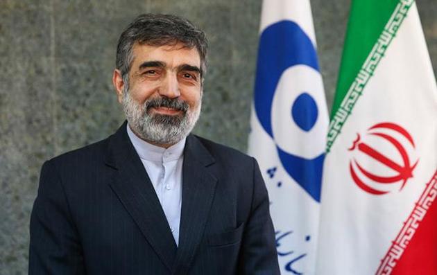 Камальванди: Тегеран готов достигнуть 20% обогащения урана 
