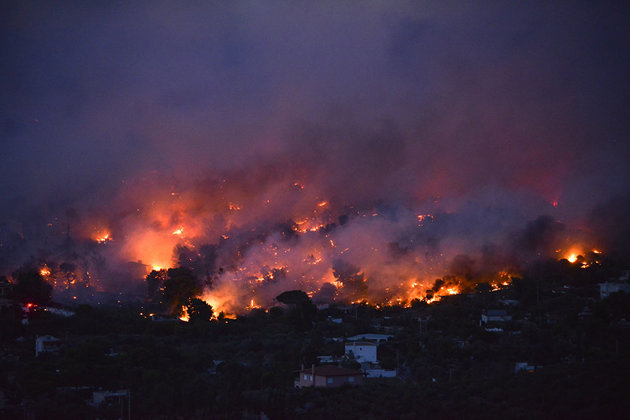 Западные провинции Турции охвачены лесными пожарами