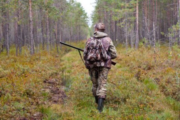 Контроль за правилами охоты ужесточили в Грузии