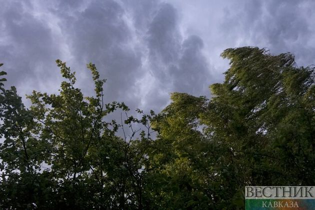 Жителей Ставрополья предупредили о дожде и сильном ветре
