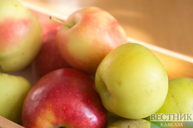 До конца года североосетинская "Владка" достроит хранилище яблок