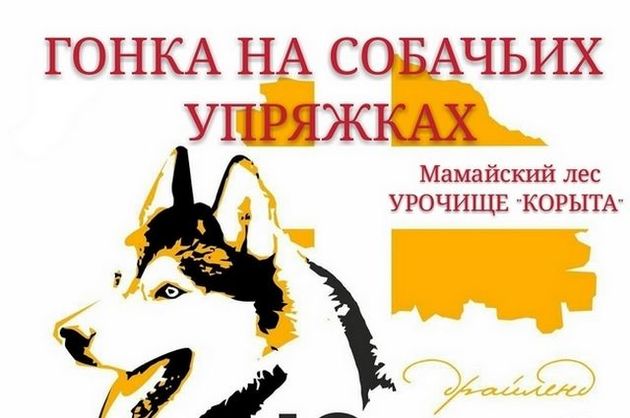 Гонки на собачьих упряжках стартуют в Ставрополе