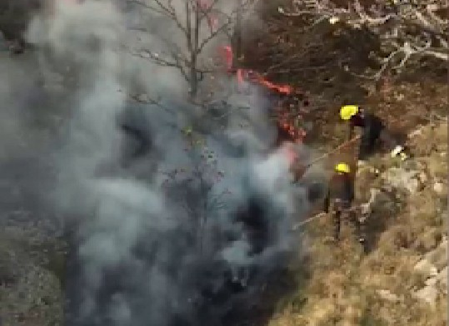 Крупный лесной пожар произошел в Дашкесанском районе из-за армянского обстрела (ВИДЕО)