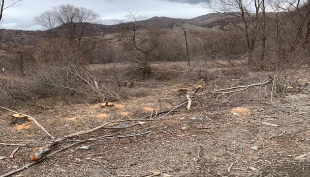 Вот как выглядят душераздирающие следы экологического террора в Кельбаджарском районе (ФОТО/ВИДЕО)
