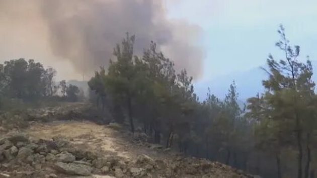 Казахстан заволокло дымом от лесных пожаров в Якутии