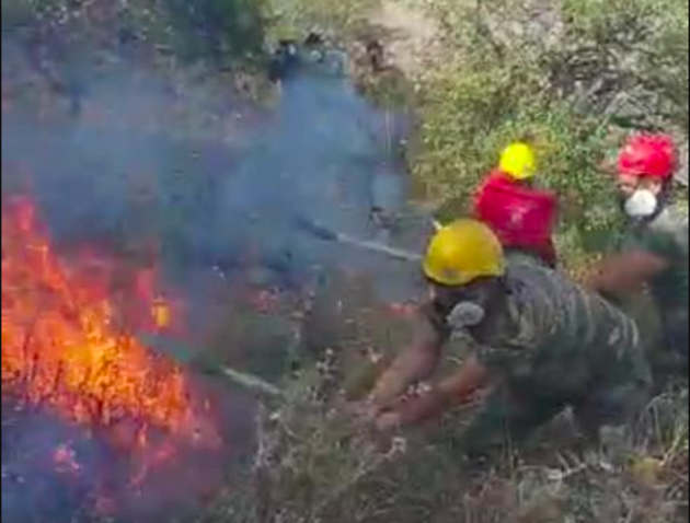В Азербайджане справились еще с двумя лесными пожарами