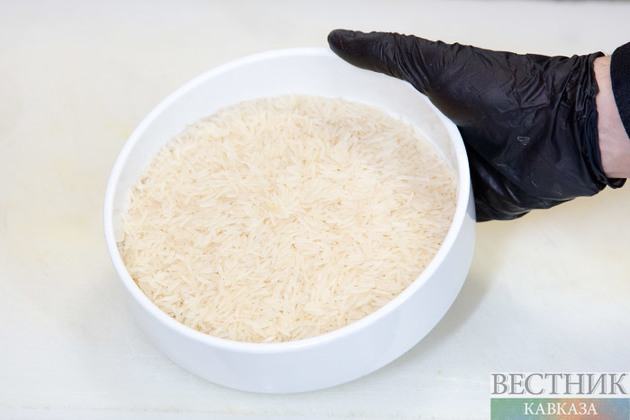 В Дагестане приступили к уборке риса