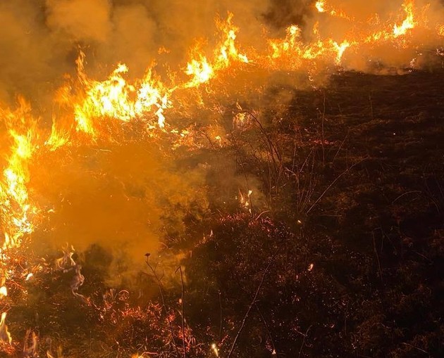 Крупные пожары произошли в Предгорном районе Ставрополья