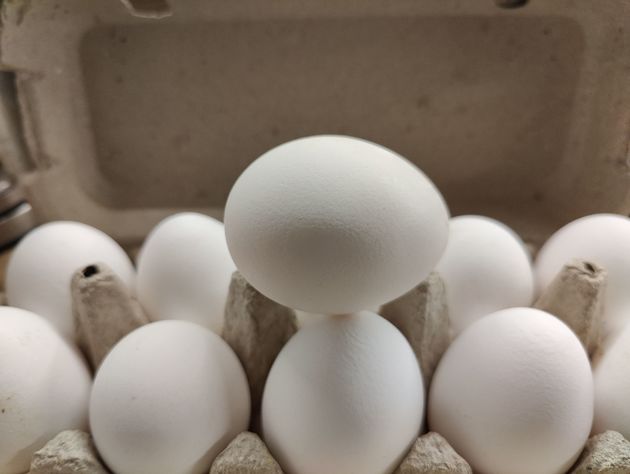 Сговор производителей яиц: трем компаниям грозят штрафы на Ставрополье