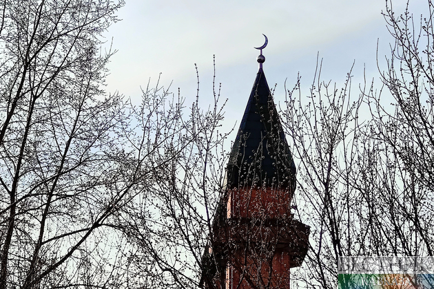 Германия обдумывает введение ”налога на мечеть”