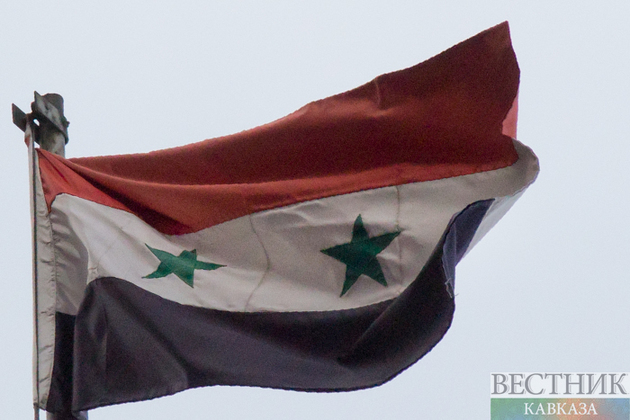 Армия Сирии освободила поселение в пригороде Дамаска
