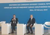 В Баку подвели итоги реализации &quot;Южного газового коридора&quot;