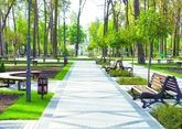 Парк имени Ивана Лугового создадут в Лысогорской