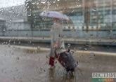 На смену холодным выходным в Москве придут дождливые будни