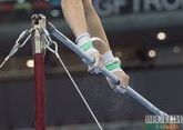 Более 600 гимнастов и гимнасток примут участие в Чемпионатах Европы в Баку в декабре