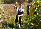 В Северной Осетии в октябре высадят более 280 тыс деревьев 