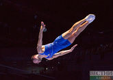FIG сдвинула Чемпионат мира по прыжкам на батуте в Баку
