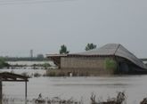 Евросоюз помог пострадавшим от наводнения в Азербайджане и может открыть свой рынок для его томатов