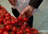 Грузия наращивает импорт томатов из Азербайджана