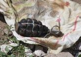 Мальчик из Казахстана обнаружил в своем огороде гранату