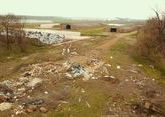 Кубанские экологи нашли в в Тимашевском районе незаконную свалку