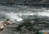 WWF занялся экологической катастрофой на реке Охчучай