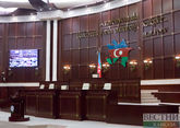 Делегация парламента Азербайджана посетит Санкт-Петербург 