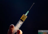 Россия создала вакцину от оспы обезьян