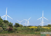 Новые ветряные станции могут появиться на западе Грузии 