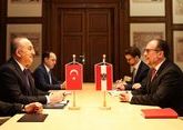Главы МИД Турции и Австрии обсудили ситуацию на Кавказе