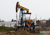 Публикация данных по добыче нефти и газа приостановлена в России