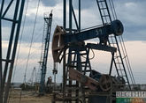 Россия сокращает нефтедобычу за счет Европы