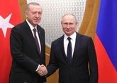Путин и Эрдоган готовятся встретиться в начале осени