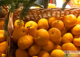 Как выбирать мандарины к Новому году? Советы эксперта