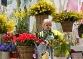 Буйство цвета и красок: какими цветами Москва встречает 8 марта?
