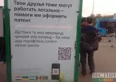 Канал незаконной миграции перекрыли на Ставрополье