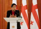 Президента сравнили с взрывчаткой и утюгом в парламенте Грузии