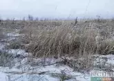 Волгоградская область подсчитывает ущерб от майских заморозков