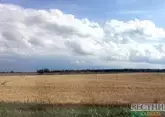 Ставрополье масштабно вложится в орошение земель