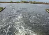 Паводковые воды из России напитали озера на западе Казахстана